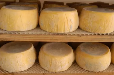 Trabajan sobre la Identificación Geográfica del queso Tafí