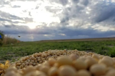 La Obispo Colombres presenta las claves para obtener semilla de soja de alta performance