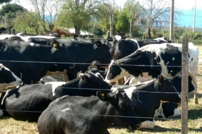 El INTA estuvo presente en la 9° Expo Láctea del Norte
