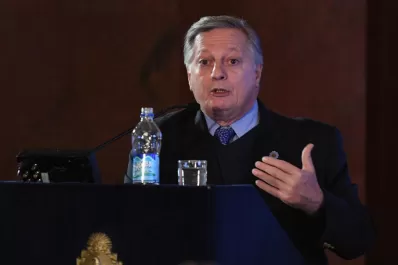 Aranguren irá al Senado a defender las tarifas