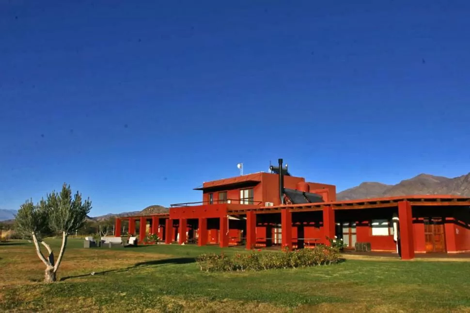 TRANSFORMACIÓN. En aquel desierto, hoy se levanta el hotel, los viñedos y una “alfombra” verde que se trajo de Paraguay. foto de gerardo iratchet / prensa turismo