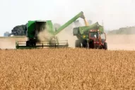 Gonzalo Blasco: “los grupos cortos dieron los mejores resultados”