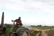 La sostenibilidad llegó a los productores paperos