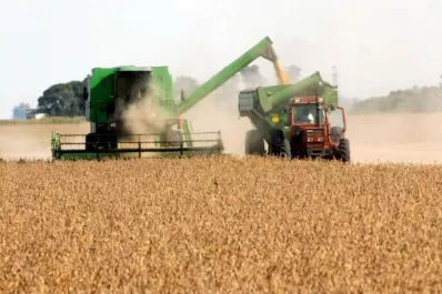 Gonzalo Blasco: “los grupos cortos dieron los mejores resultados”