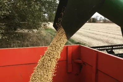 Mario Devani: “los rendimientos de la soja superan nuestras expectativas”