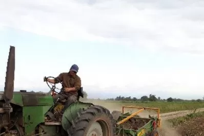 La sostenibilidad llegó a los productores paperos