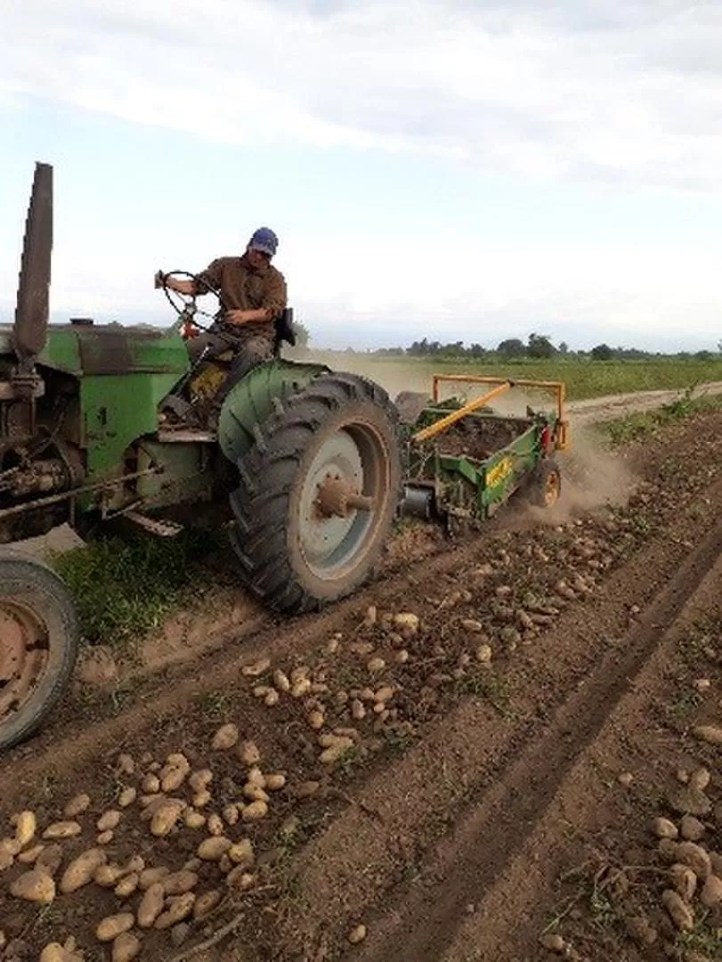 LOGRO. Utilizando maquinaria propia lograron reducir sus costos productivos. INTA FAMAILLÁ