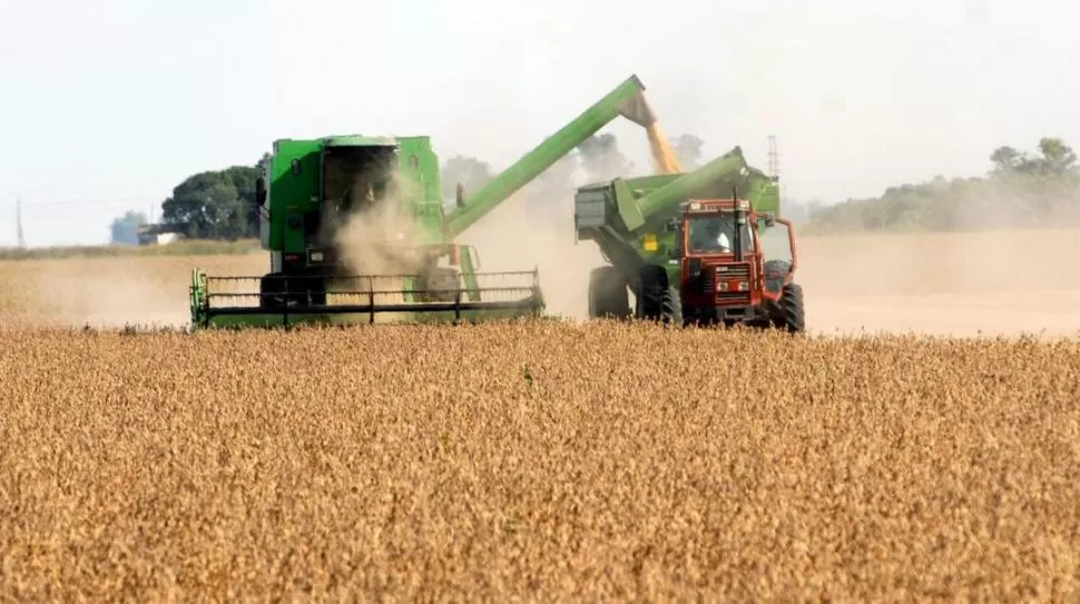 BUENO. Un lote con soja de “grupos cortos” produjo unos 3.000 kg/ha, en un campo de Obispo Piedrabuena. ARCHIVO LA GACETA 