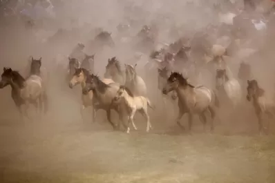 La foto que no viste