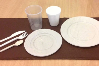 La UE propone prohibir los plásticos de un solo uso, como platos y sorbetes