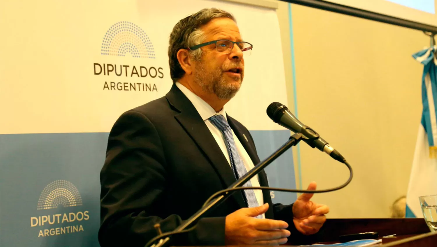 El titular de la cartera sanitaria habló en el último día de exposiciones ante la comisión del Congreso. FOTO DE WWW.TWITTER.COM/DIPUTADOSAR