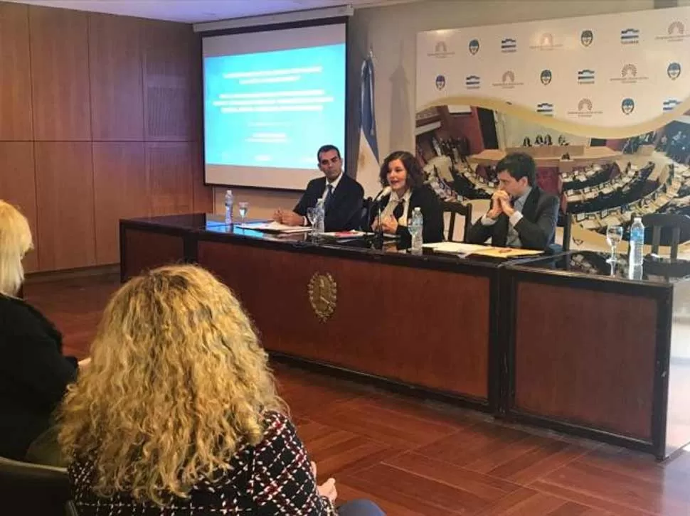 EN LA LEGISLATURA DE TUCUMÁN. Jimena Monsalve diserta en la mesa panel que integró con los expertos Lucas Safarsi y Rodrigo Borda. la gaceta / foto de irene benito