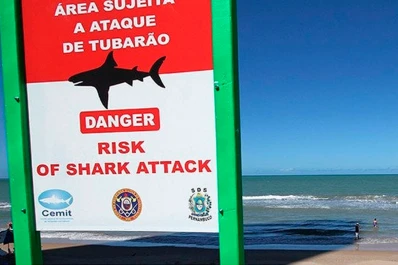 Un tiburón mató a un adolescente que se bañaba en una playa brasilera