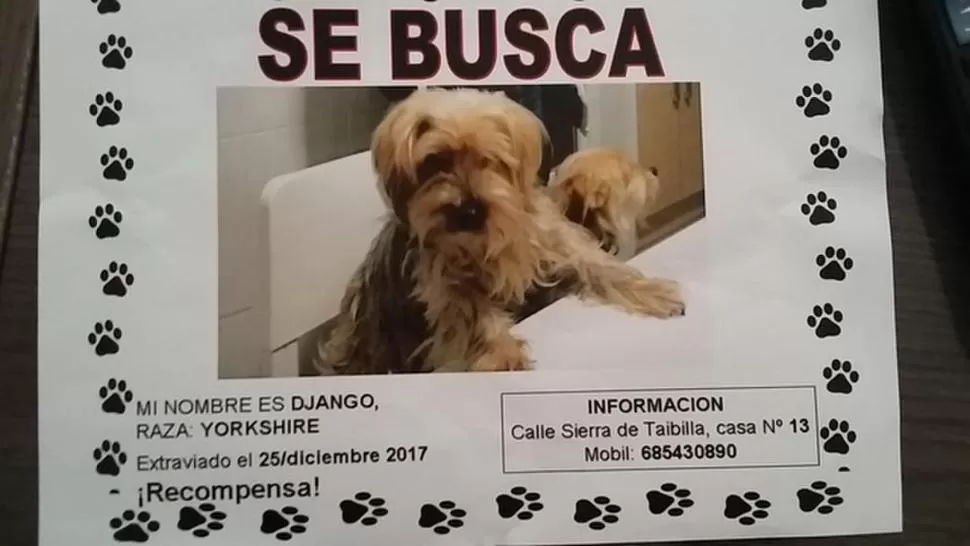 UN MÉTODO EFICAZ. Aunque ahora se usan las redes sociales, los carteles en la calle suelen dar buen resultado. 