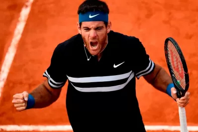 Del Potro: tenía mucha tensión y emoción guardada, por eso lloré como un nene