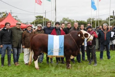 El Gran Campeón Macho de la Braford