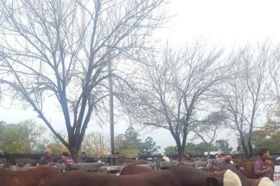 “Las cabañas pujan unas con otras”