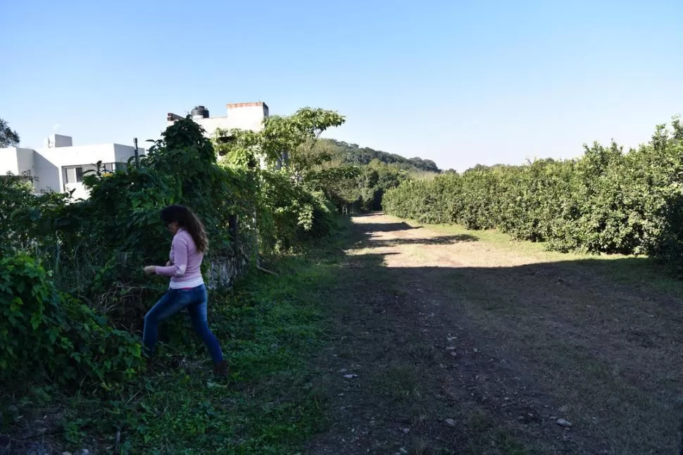 HUIDAS. Una vecina señaló que los supuestos autores de los robos escaparían por la quinta de limones y por un canal que llega a Yerba Buena. la gaceta / foto de iInés Quinteros Orio