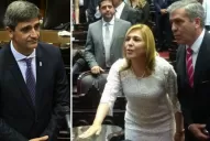 Despenalización del aborto: cómo votarían los nueve diputados tucumanos