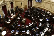 La legalización del aborto llega al Senado, donde más de un tercio de los legisladores ya se pronunció en contra