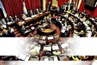 El proyecto del aborto legal no tendría un debate express en el Senado