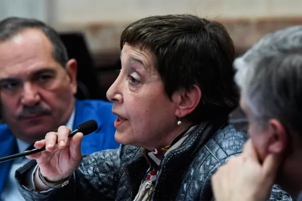 Aborto: Mirkin y Alperovich, entre los 12 senadores indecisos