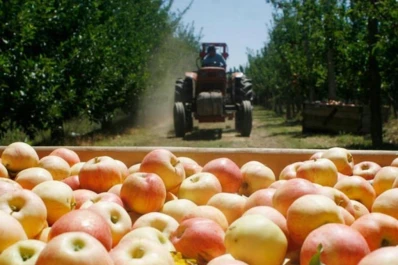 BPA Sustentables en Productos Frutihortícolas