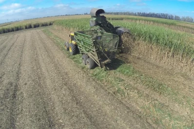 Resulta fundamental realizar el control de calidad de cosecha en caña de azúcar