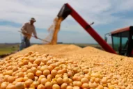 Seguirán igual las retenciones a la soja, confirmó Macri