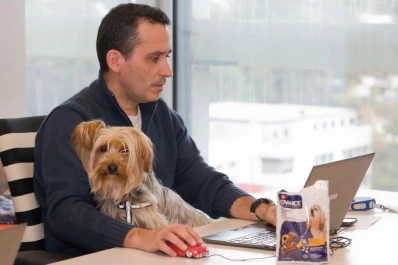 Mila va a trabajar con su dueña y en la oficina hay más onda