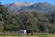 La creación del Parque Nacional Aconquija fue aprobada por ley