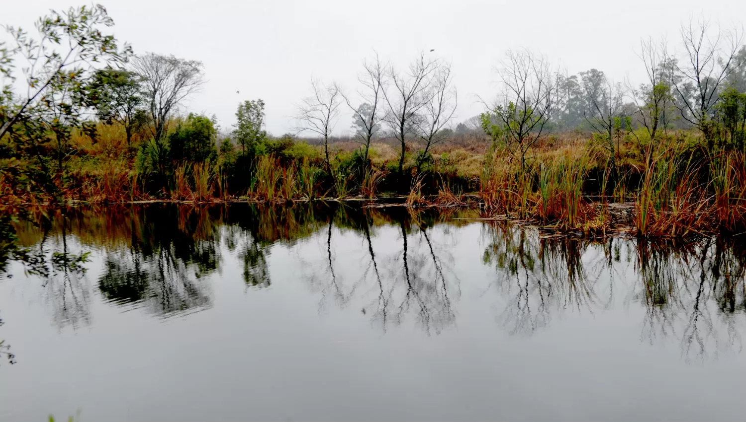 En Santa Bárbara. Una de las lagunas que preocupa a los vecinos LA GACETA / FOTO DE FRANCO VERA