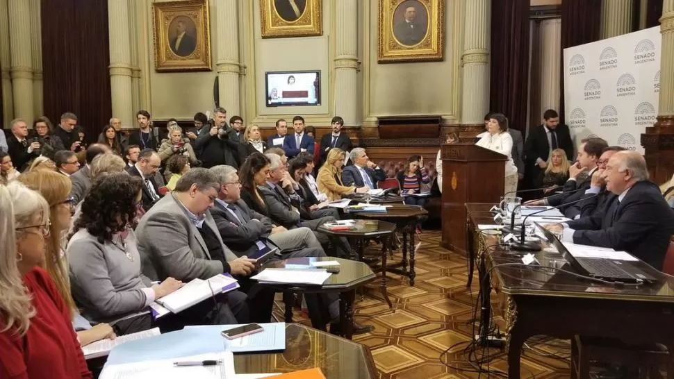 EXPOSITORES. Hasta los primeros días de agosto opinarán en el Senado los que están en favor y en contra de la despenalización del aborto. prensa senado de la nación arg.