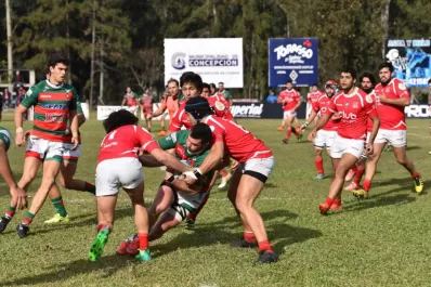 Huirapuca pisa tierra firme