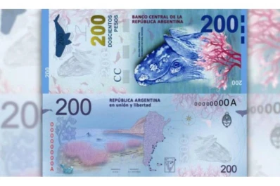 El misterio de la ballena franca: desaparecieron 26 hojas para fabricar billetes de $ 200