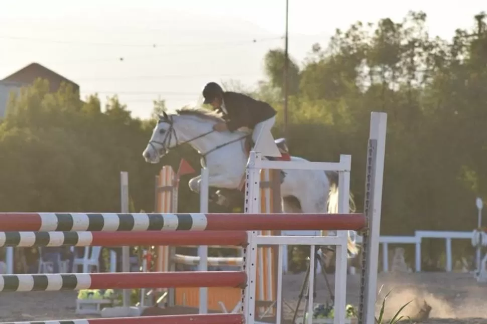 NO SE DESCUIDÓ. Con Grama Cassual, Romano triunfó en el primer día y mantuvo la regularidad para terminar primero en la clasificación general de la competencia. fotos de felicitas rodriguez 