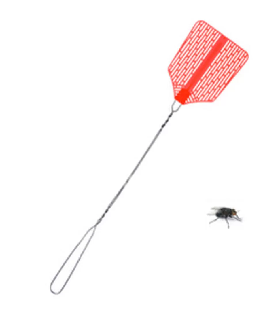 LAS CLAVES. El invento fue exitoso por su flexibilidad y la paleta de red. 