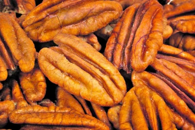 Se abre el mercado de Brasil para la nuez de Pecán Argentina