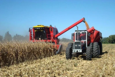 La humedad excesiva demoró la cosecha