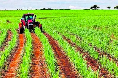 Brasileños disertan sobre biocombustibles