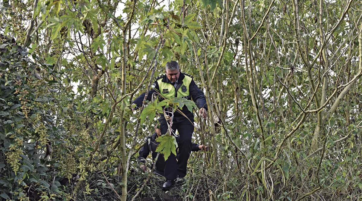 COMPLICACIONES. Los policías cruzaron un desagüe y un sector de matorrales para acceder a las fincas.