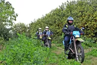 Búsqueda de Priscila: en motos enduro recorrieron una finca de limones en El Manantial 