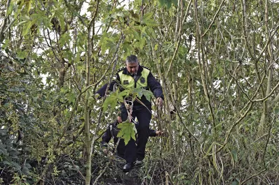 Ya son cuatro los detenidos, pero el misterio no se devela entorno a la desaparición de Priscila