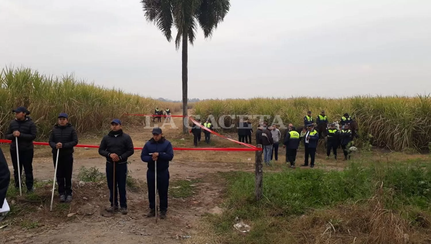 EN UN CAÑAVERAL. Los restos de la joven fueron encontrados a unos 20 metros de la ruta 301.