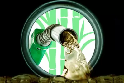 “La producción de energía tiene que estar diversificada”