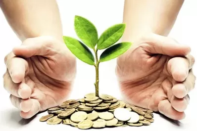 Con el dólar estable, aconsejan volver a las inversiones en pesos