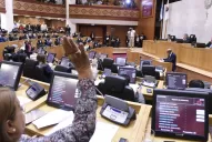 La Legislatura sentará postura y mañana establecería que Tucumán es pro-vida