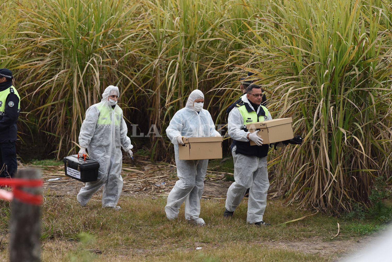 DOLOR. Priscila Paz fue encontrada en un cañaveral junto a la ruta 301