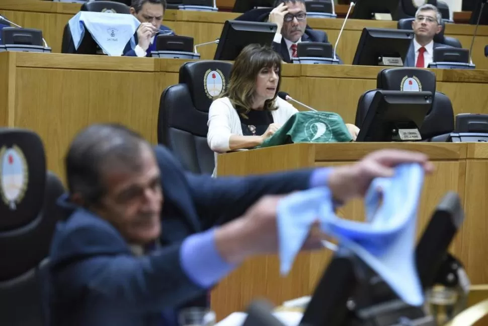 PAÑUELOS. Cano (PJ), delante, se manifiesta contra el aborto legal. La peronista Córdoba, atrás, se expresa a favor. Prensa Legislatura. 