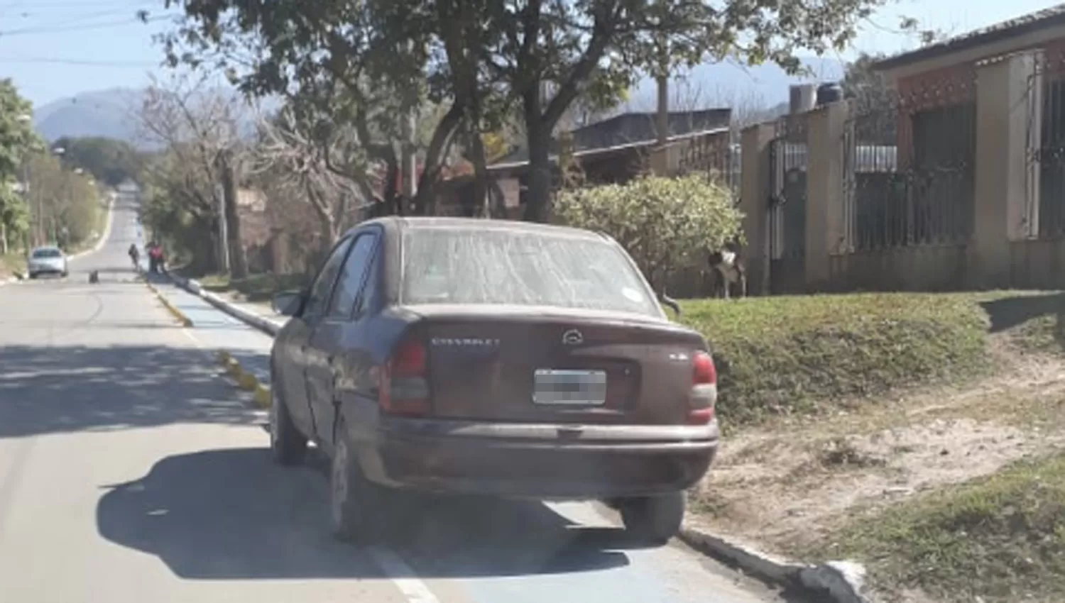 EN EL MEDIO. El vehículo permaneció todo el mediodía del domingo sobre la ciclovía.